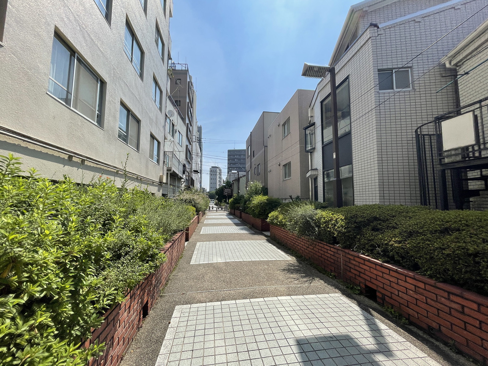 オフィスビル前面の通り