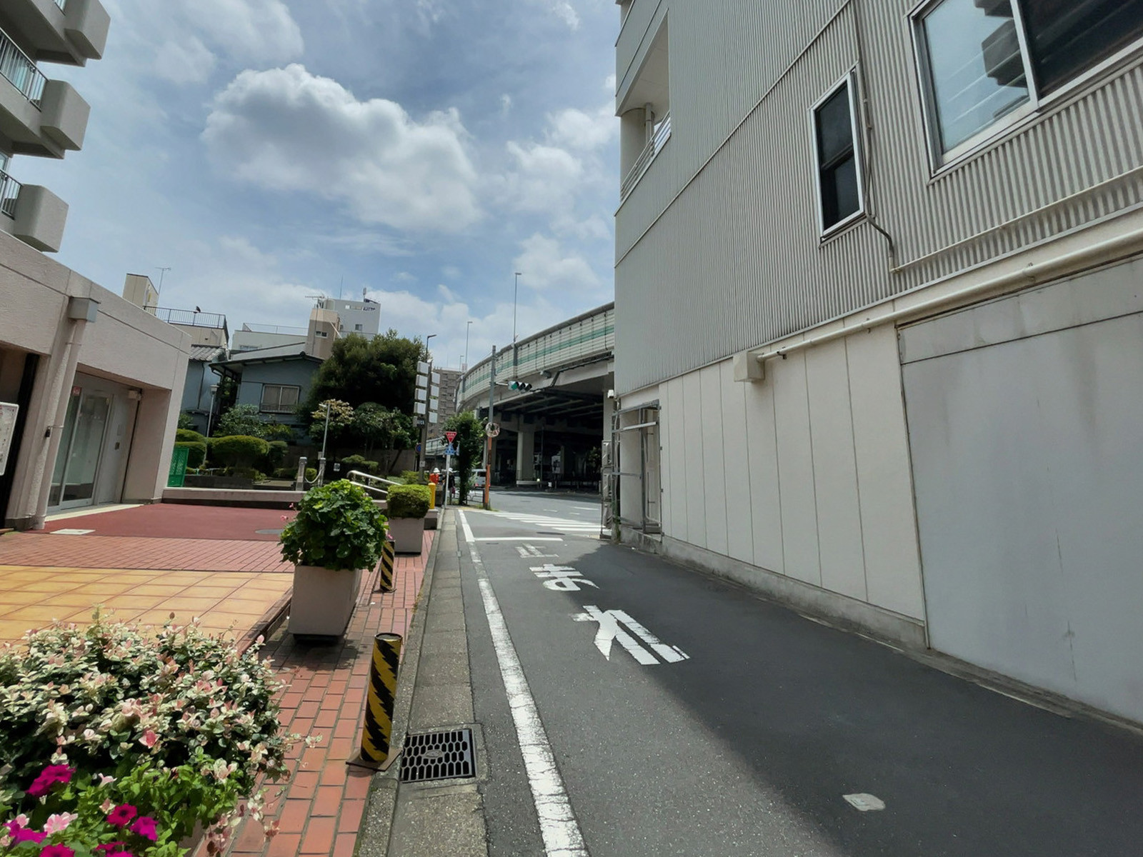 藤和護国寺コープ・冨士ビル前面の通り