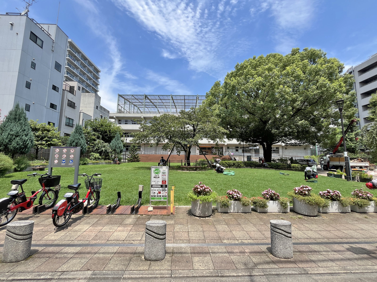 向かいの錬成公園