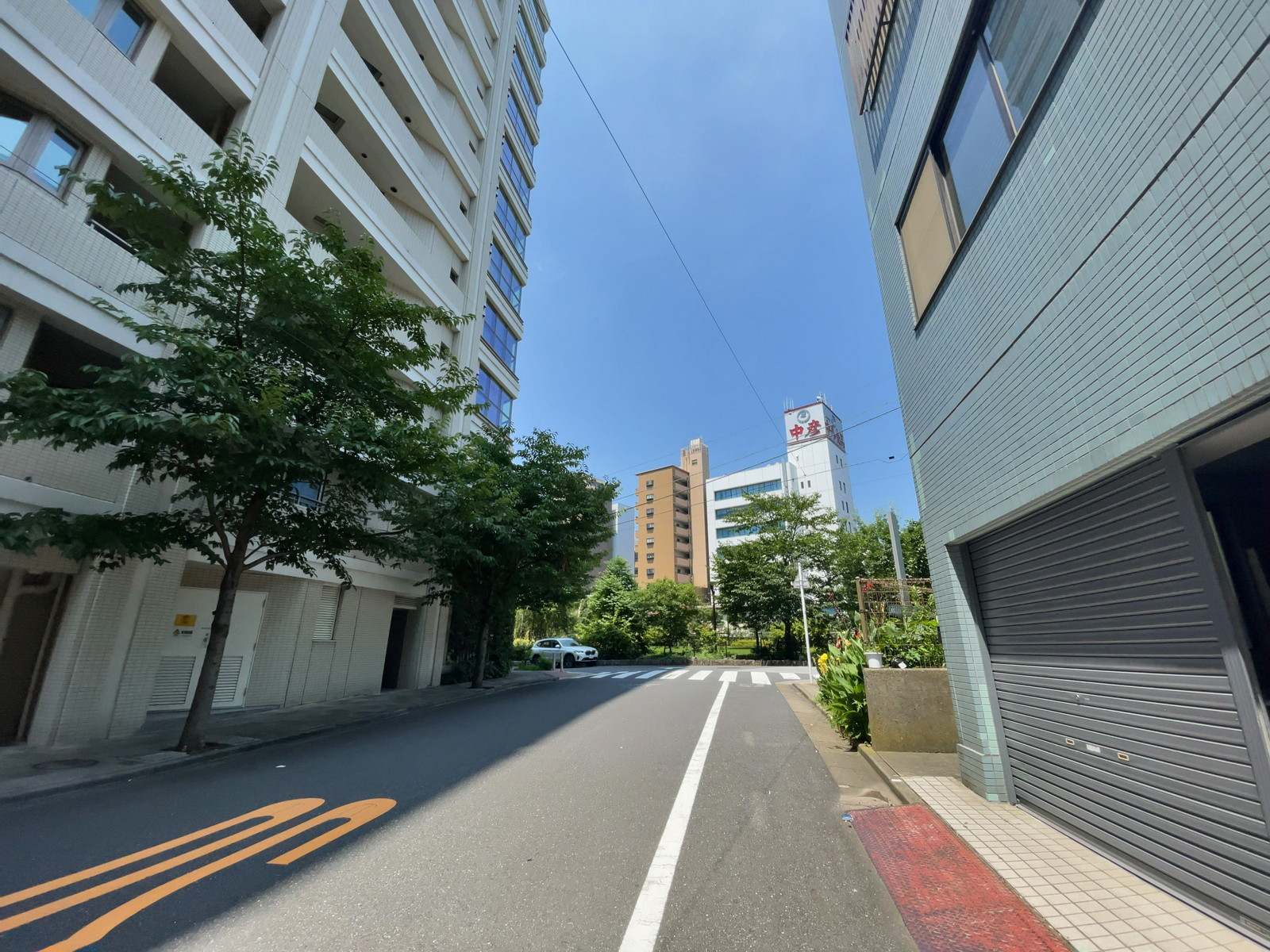 RINGOビル前面の通り