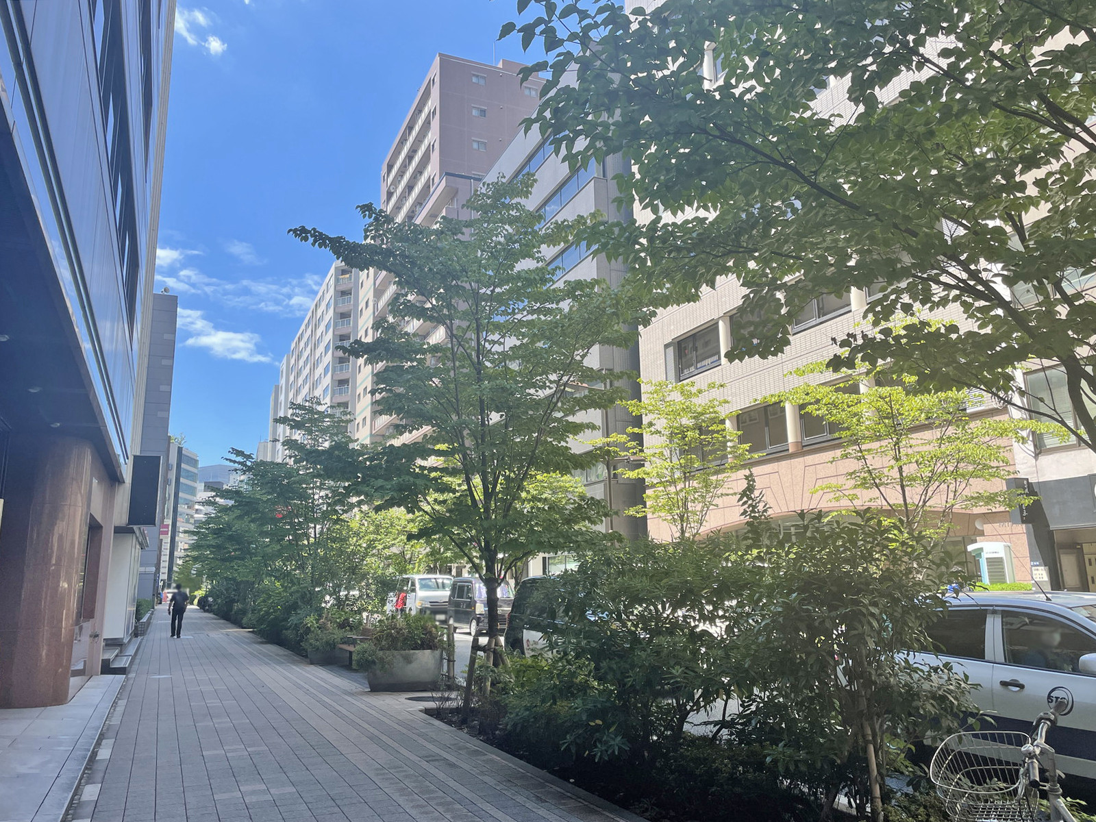 勢州屋本店ビル前面の通り