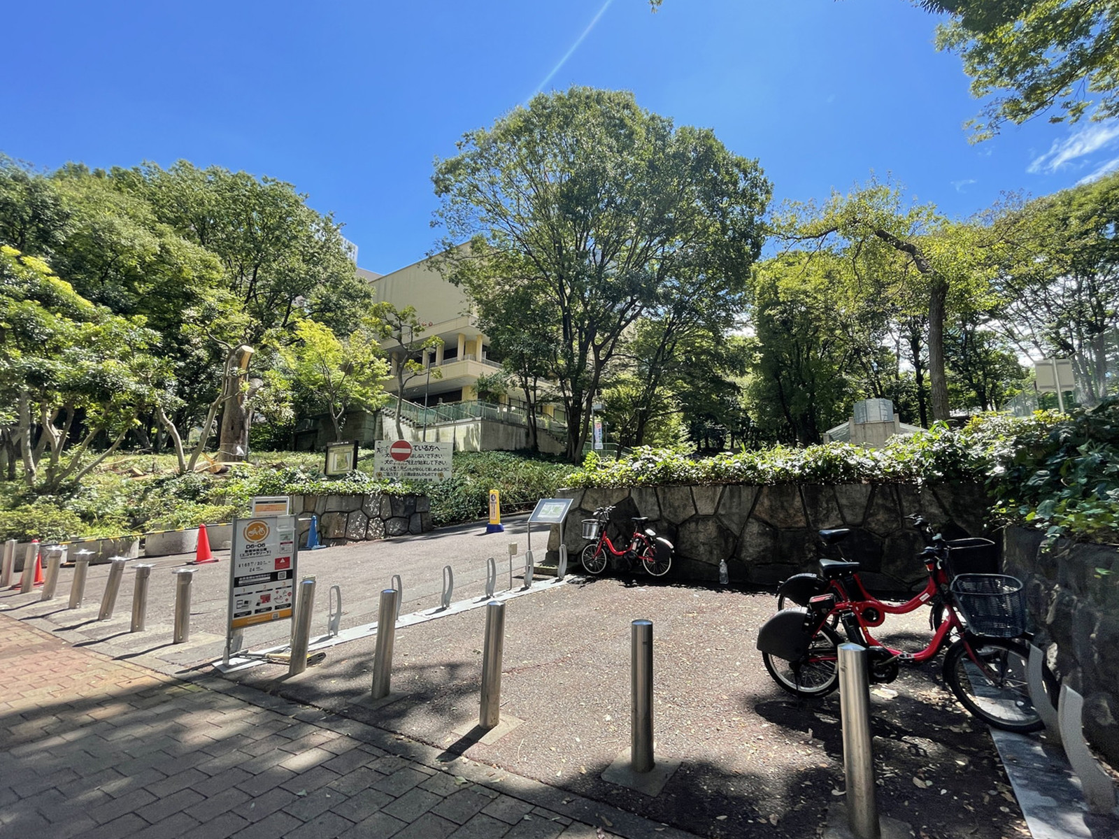 裏手の新宿中央公園