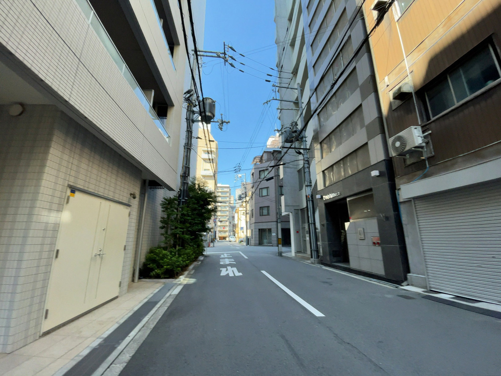 ダイシンビル前面の通り