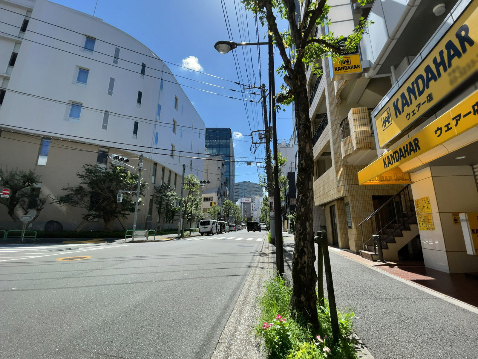 北信ビル前面の通り