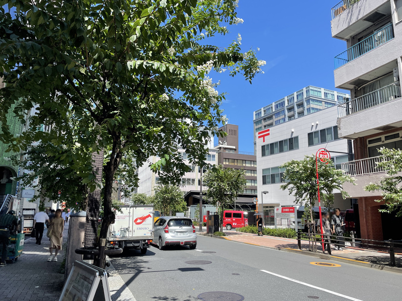 山陽六番町ビル前面の日本テレビ通り