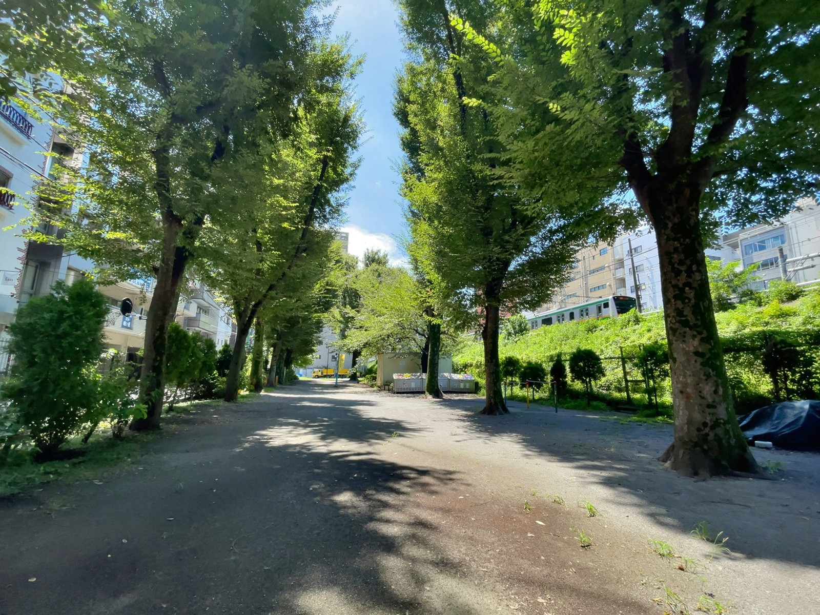 至近の神宮通公園