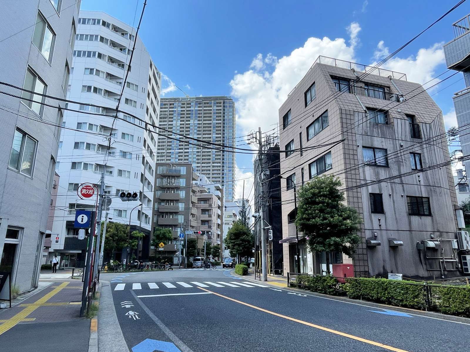 いちご本郷ビル前面の通り