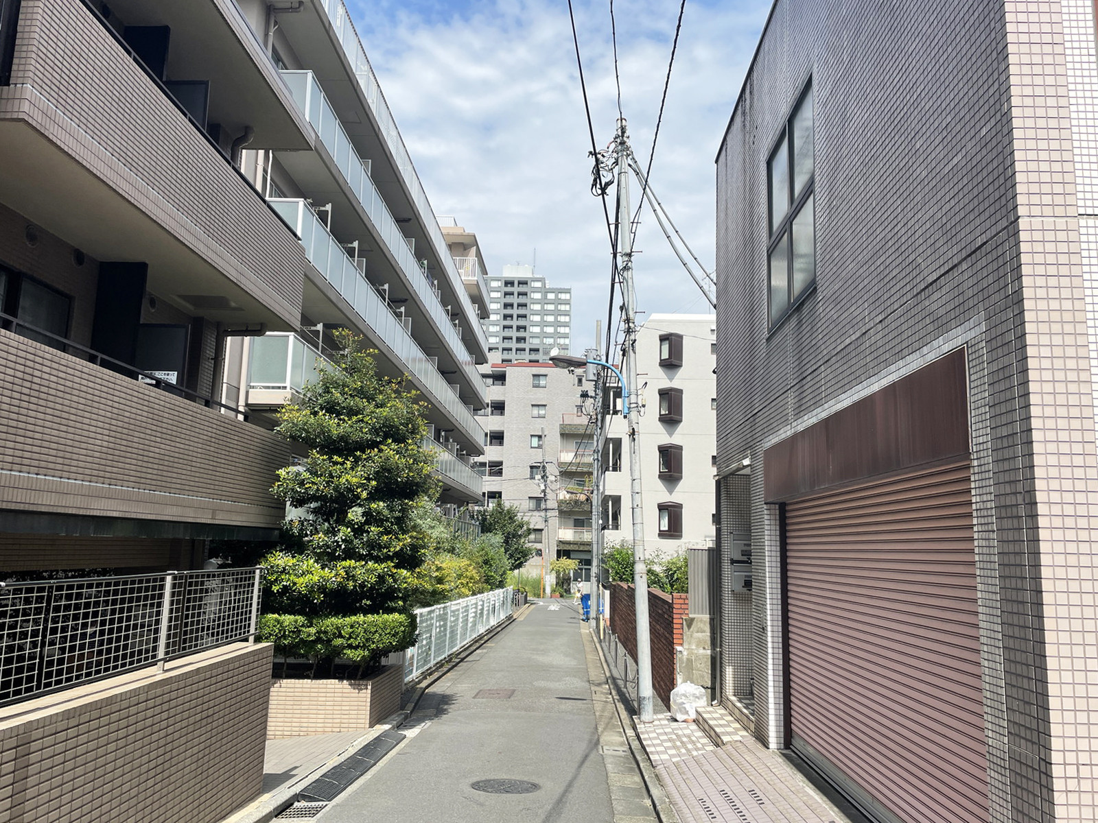 西五軒町2丁目ビル前面の通り