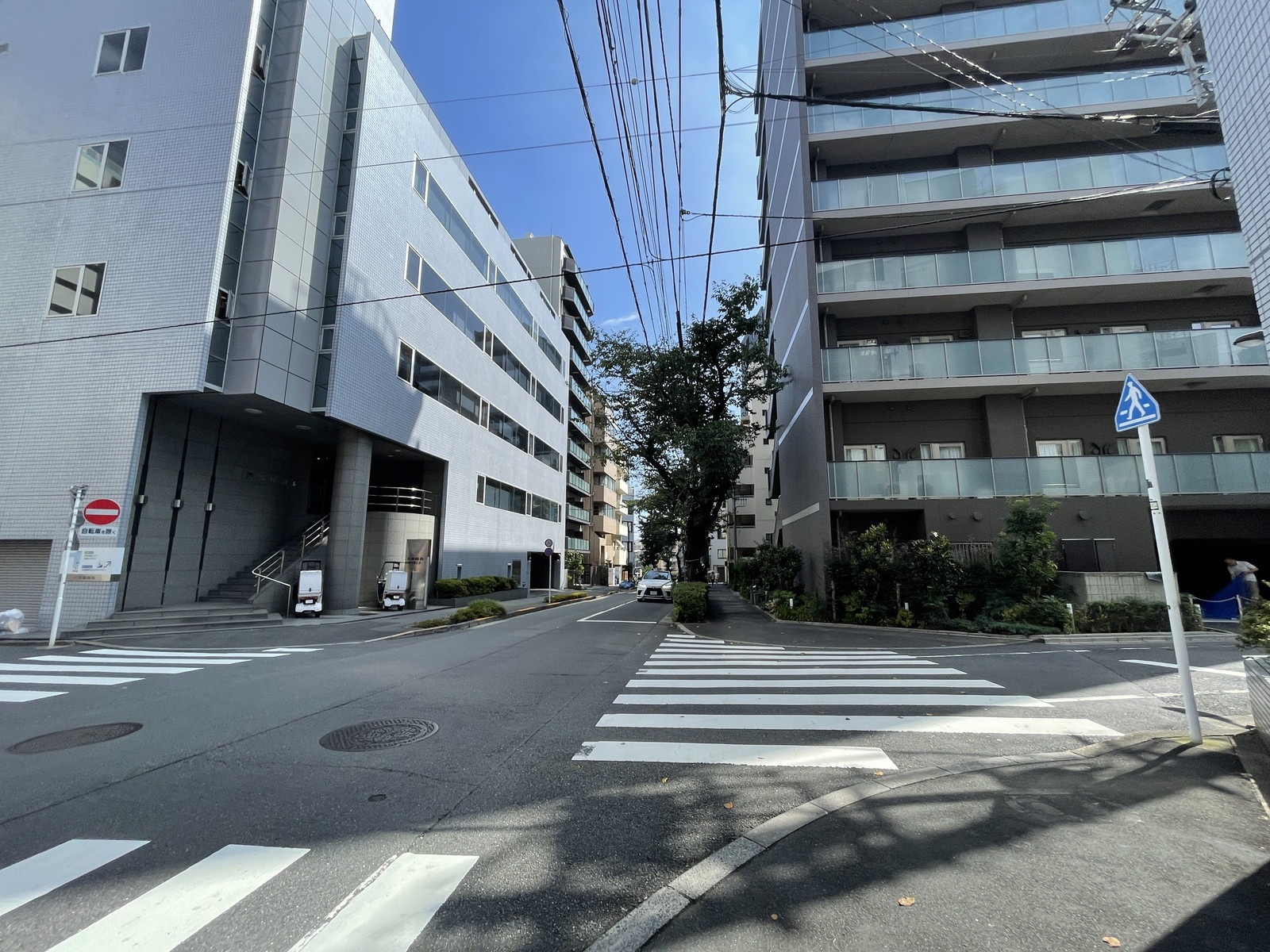 ストーク南大塚前面の通り