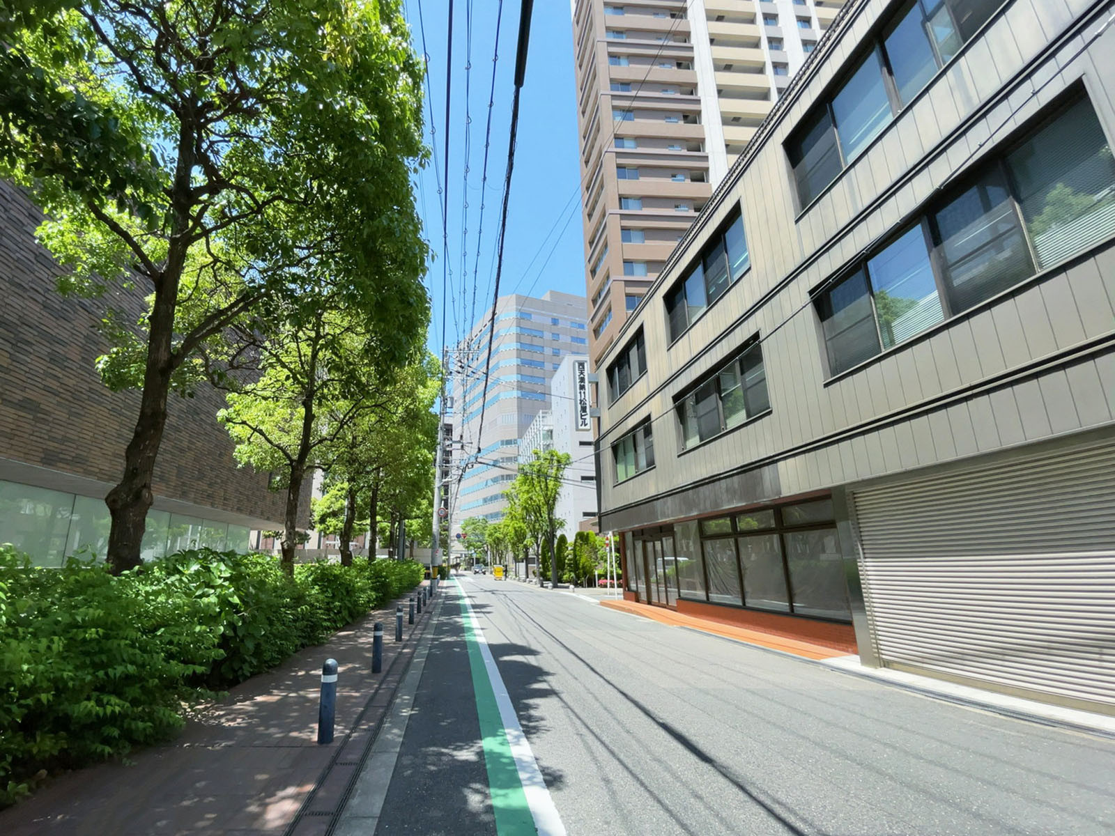 秋田ビル前面の通り