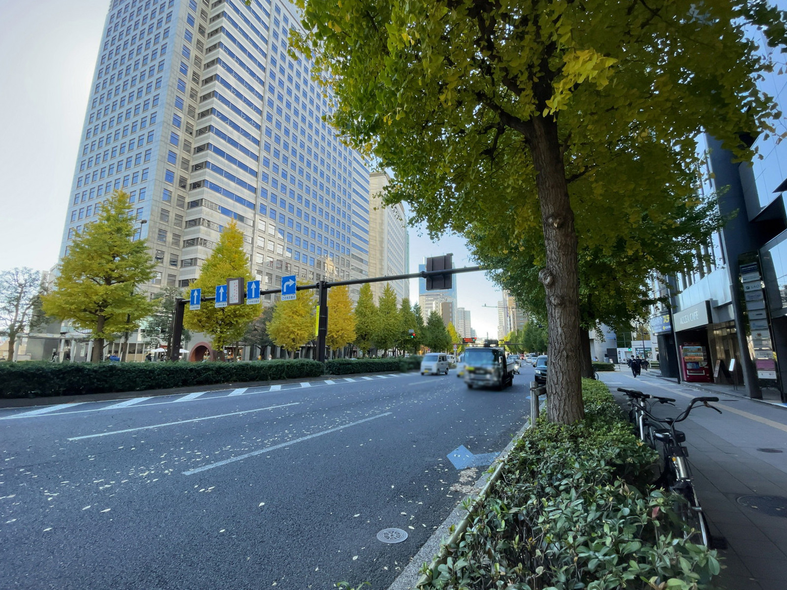 MITSUWAビル前面の通り