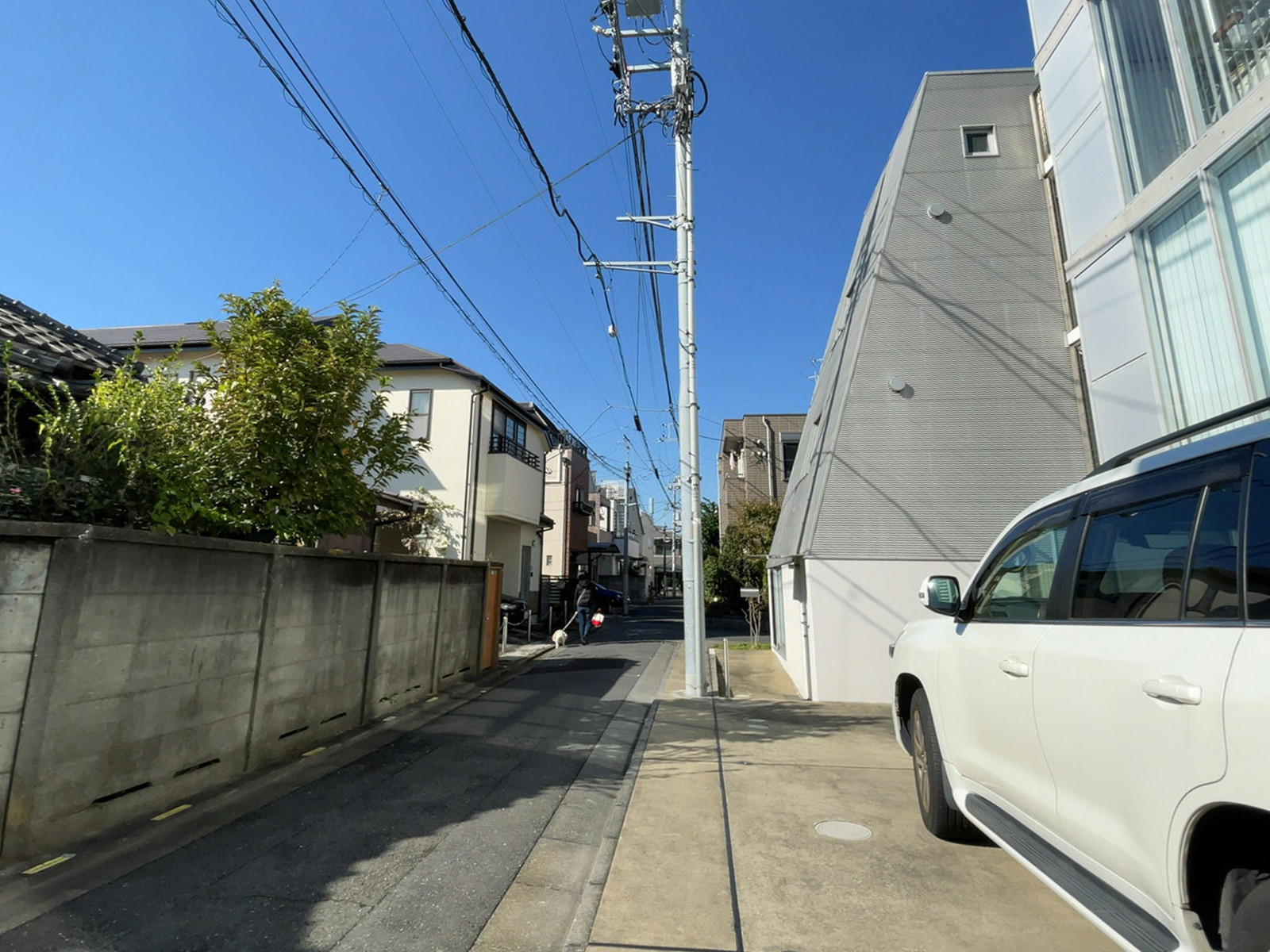 イソラ中目黒前面の通り