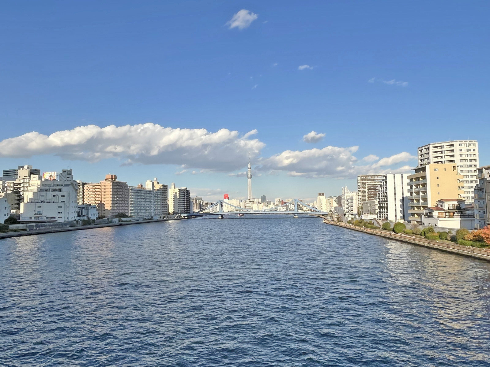 Daiwaリバーゲート裏手を流れる隅田川