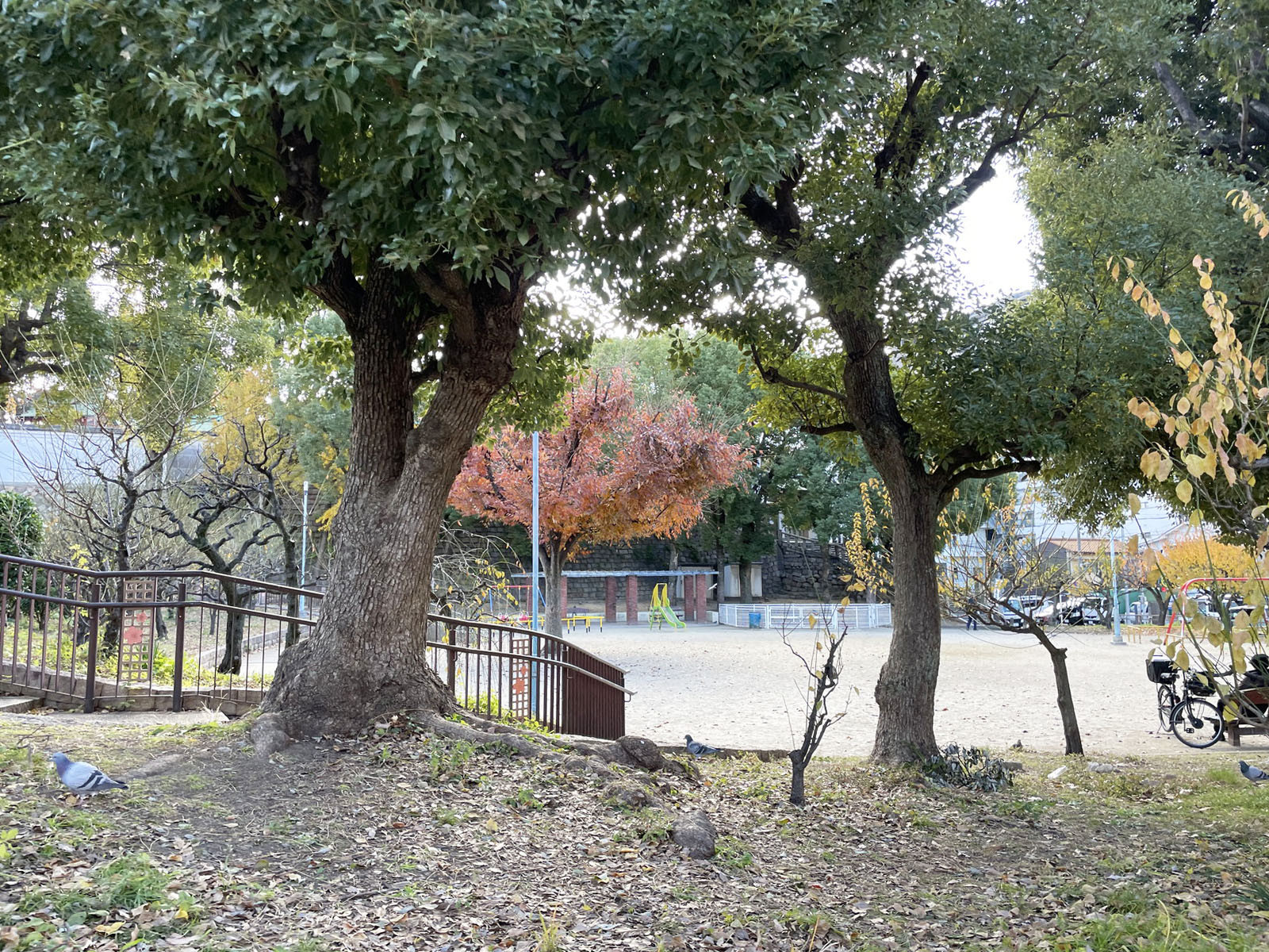 近くの高津公園