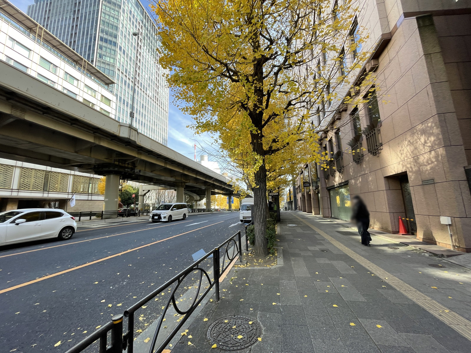 全国町村会館西館前面の通り