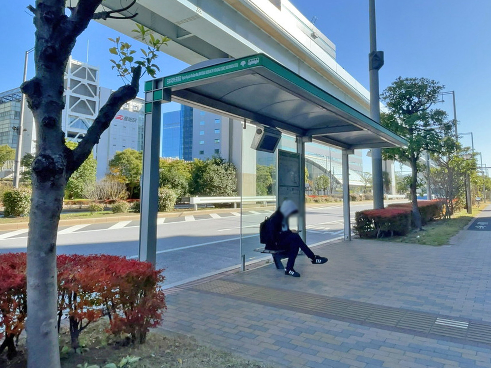 ビル前のバス停「日本科学未来館前」