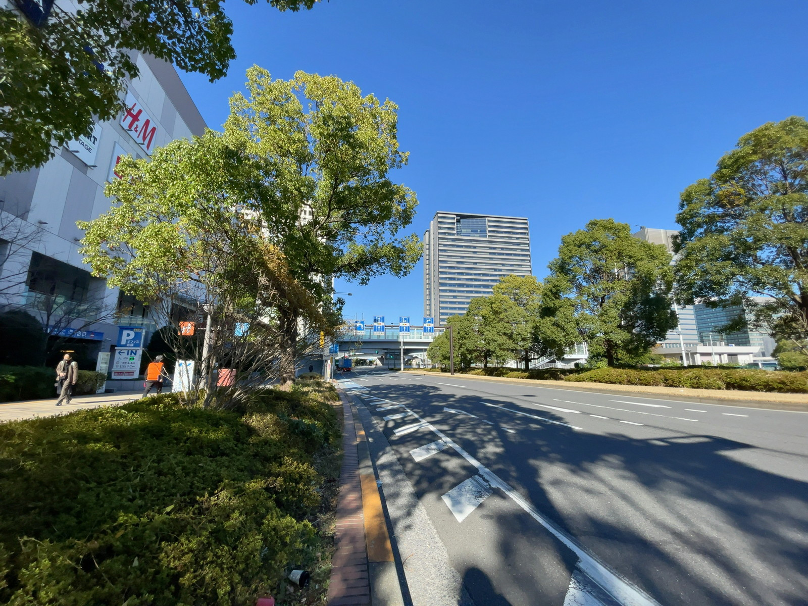 ダイバーシティ東京オフィスタワー前面の通り