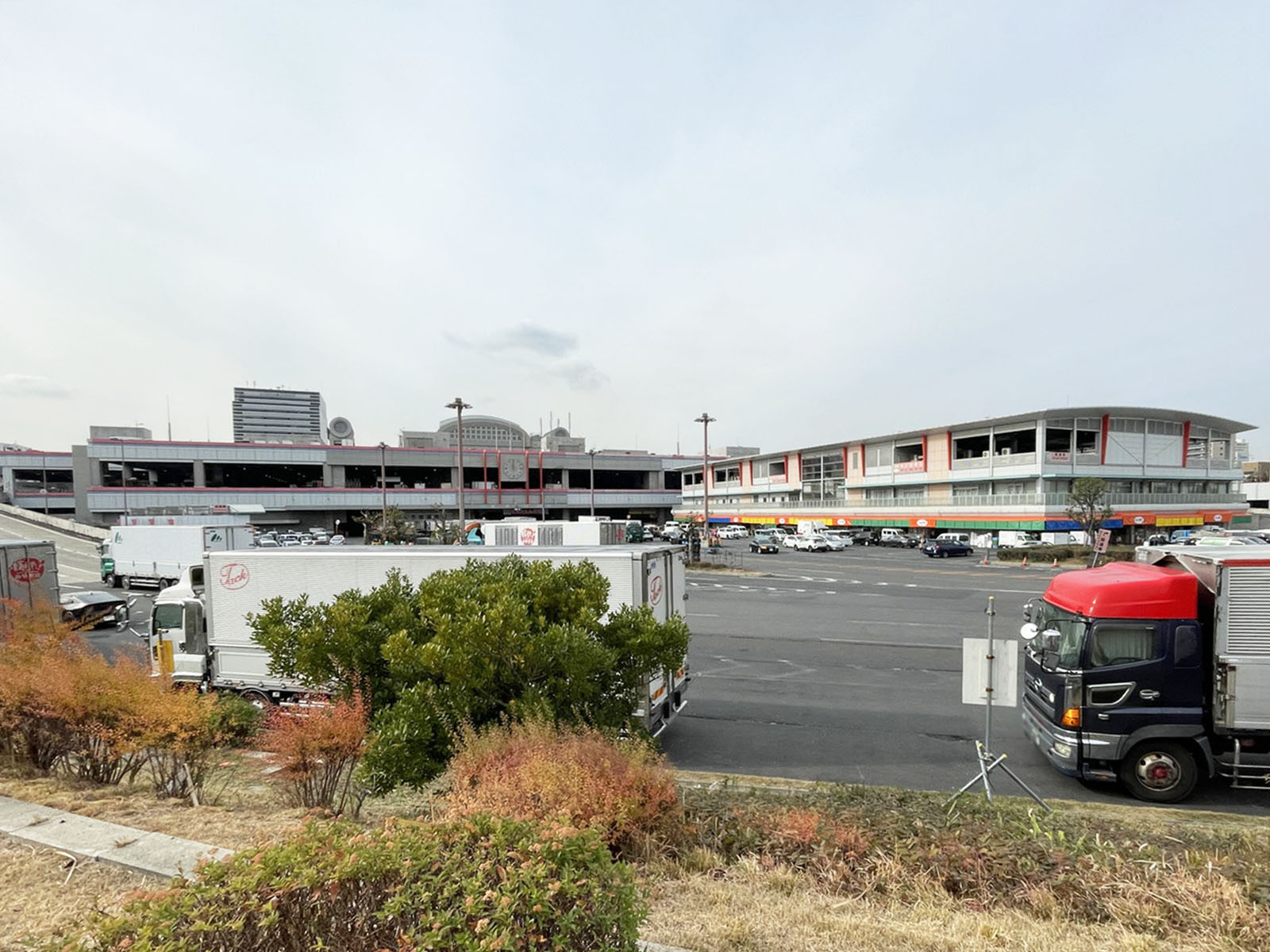 近くの大阪市中央卸売市場 本場