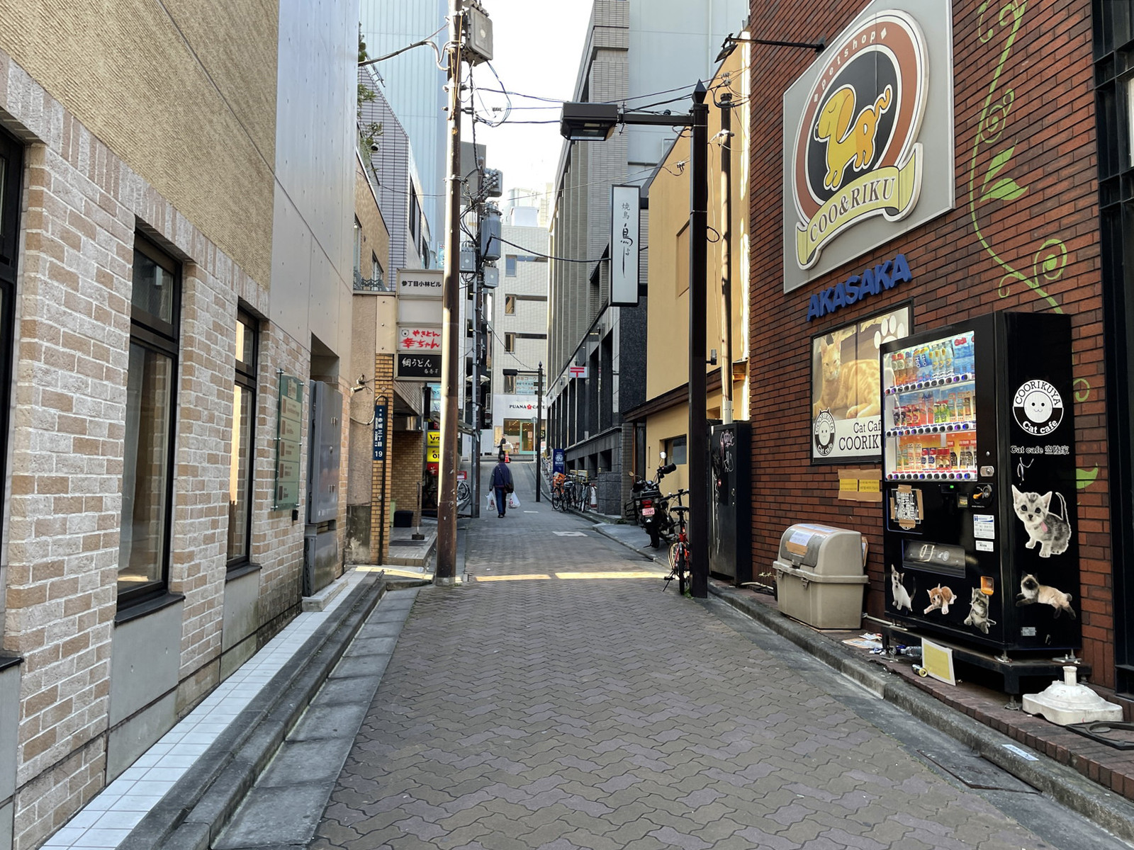 赤坂鈴木ビル前面の通り