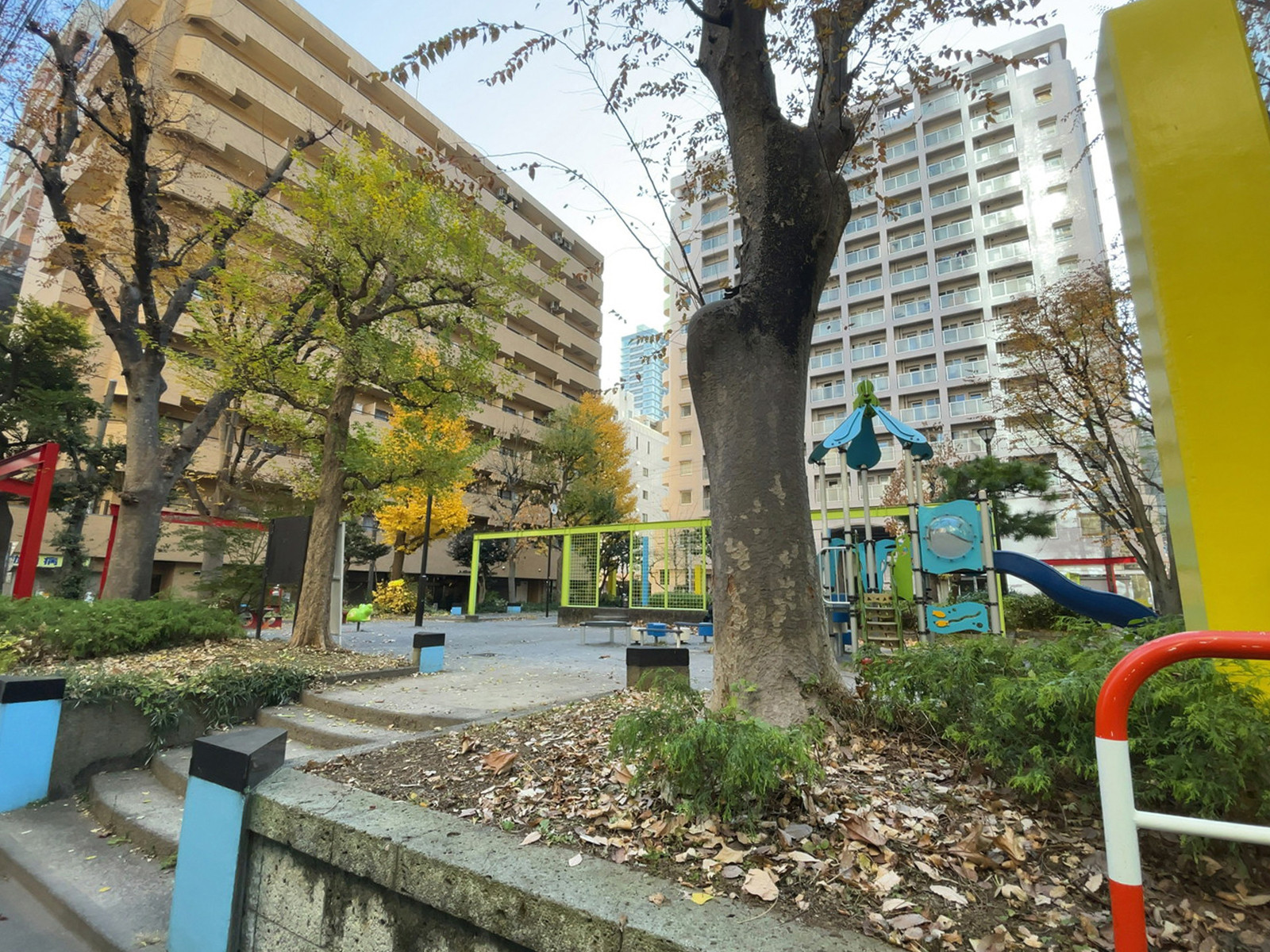至近の花園東公園