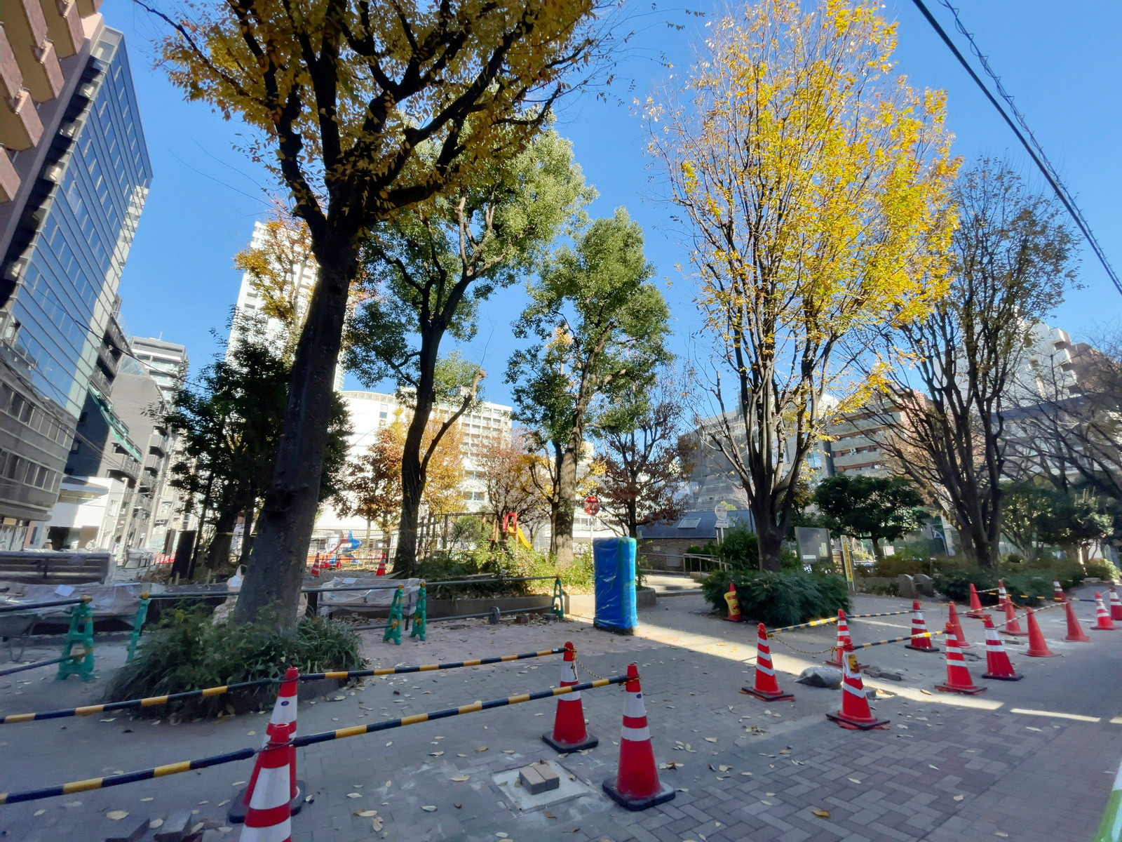 徒歩1分の新宿区立花園公園