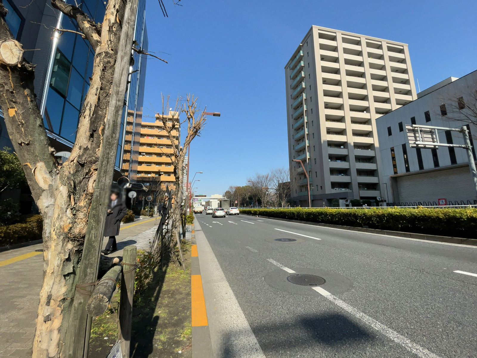 ニックハイム木場公園第1前面の通り