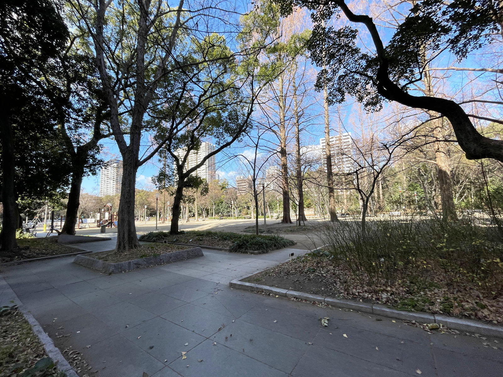 近くの靱公園