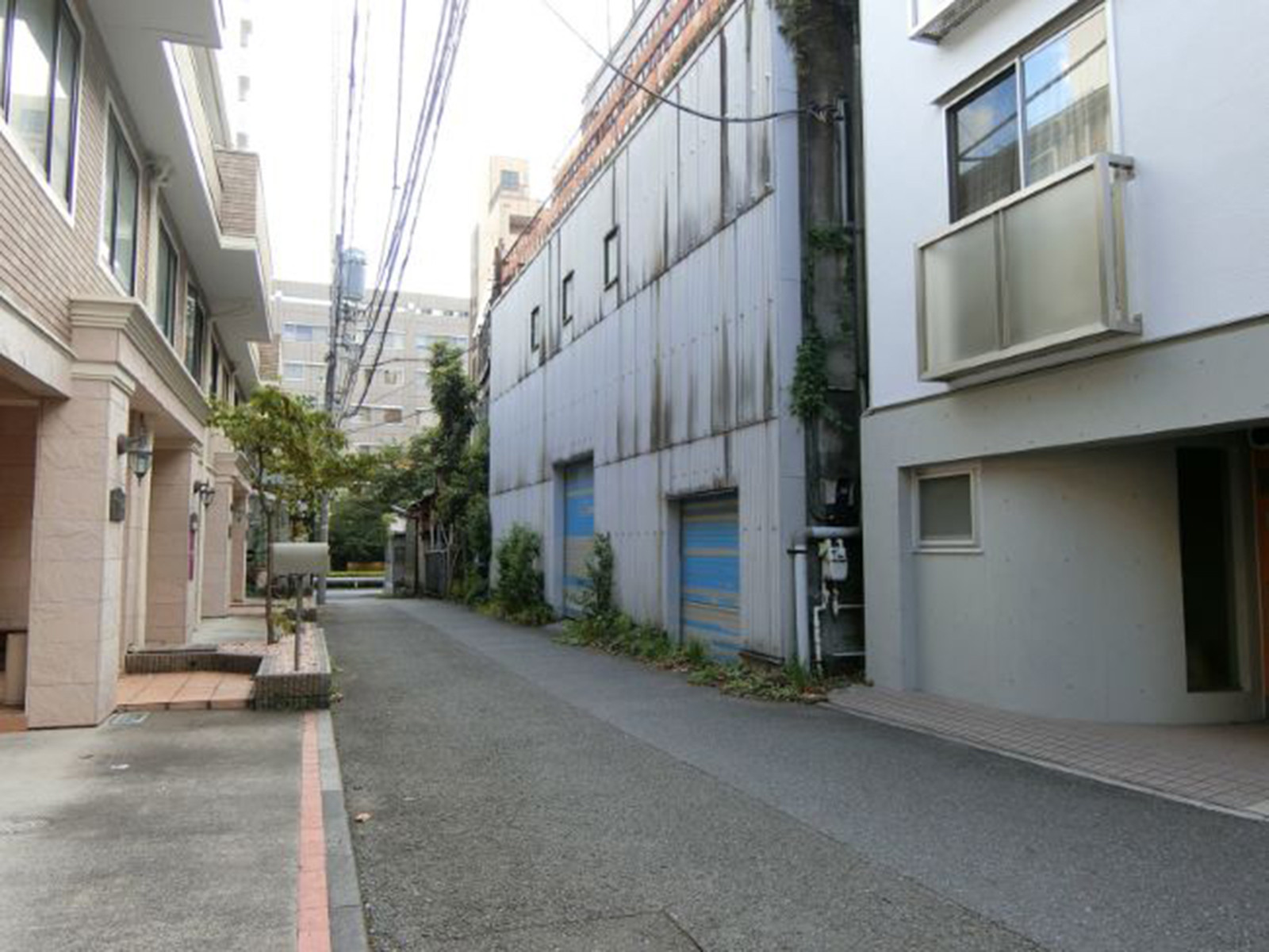 ホーメックス広尾前面の通り
