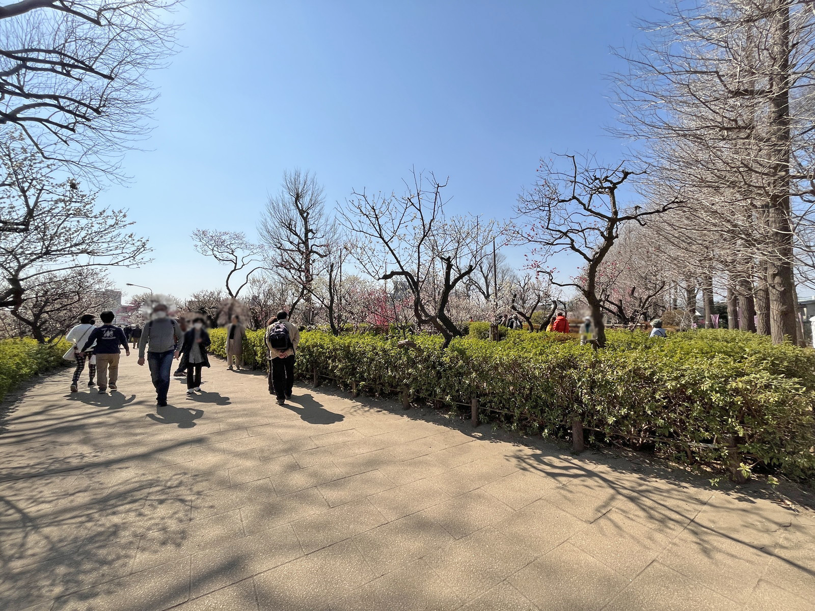徒歩3分の羽根木公園