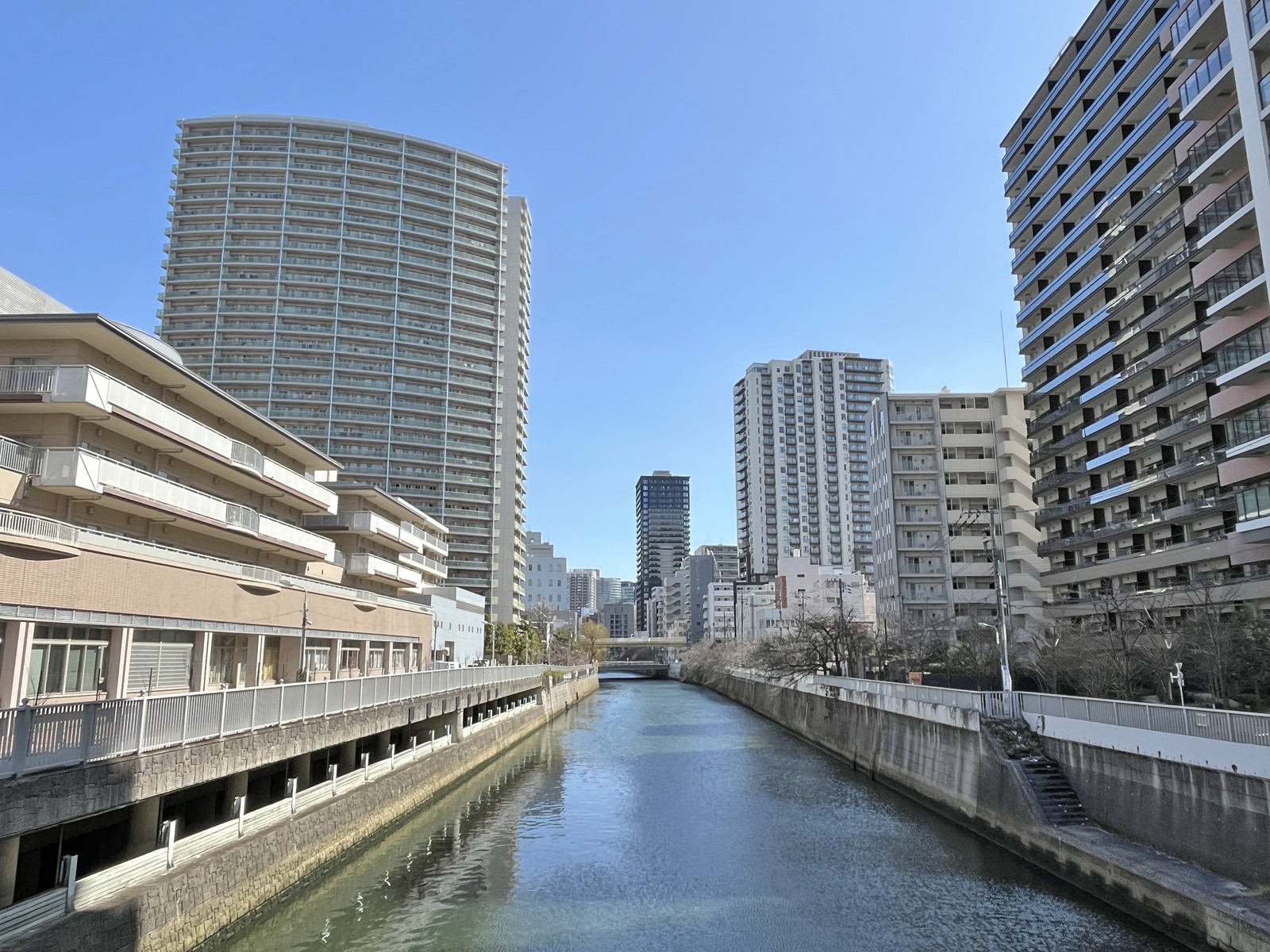 近くを流れる目黒川