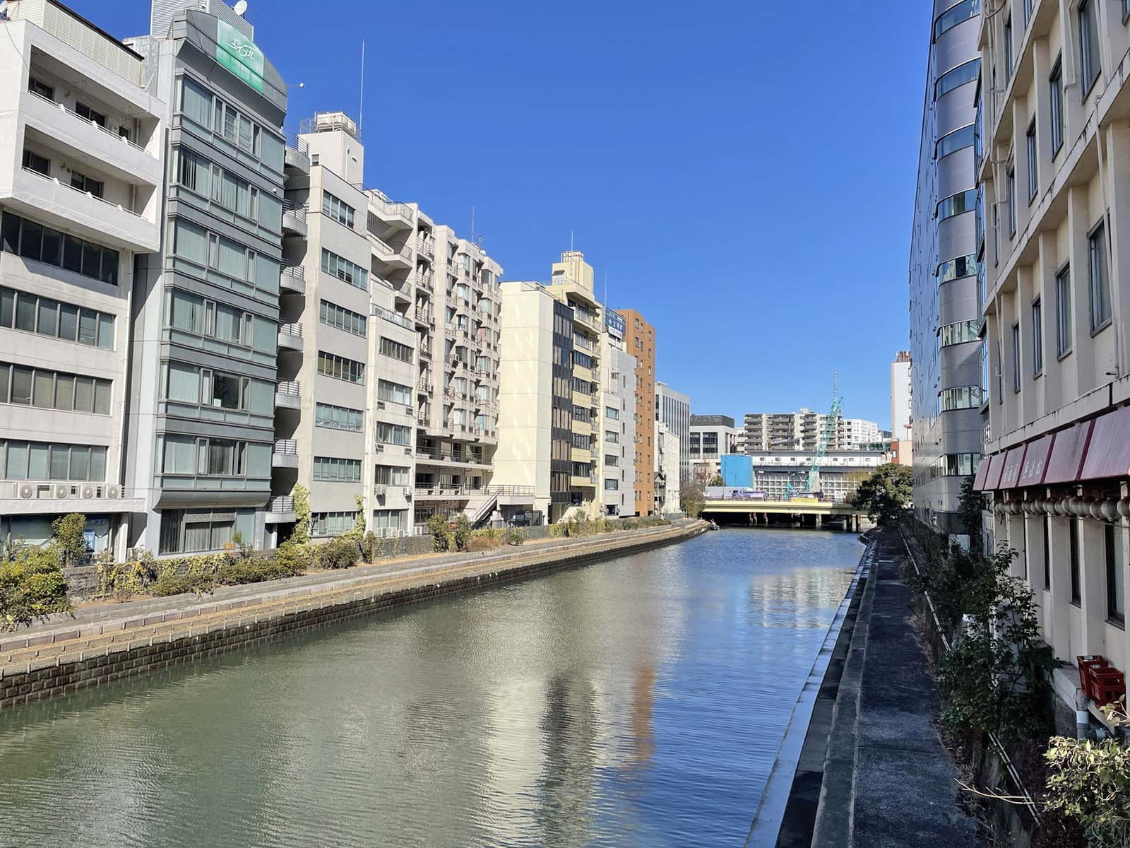 近くの亀島川