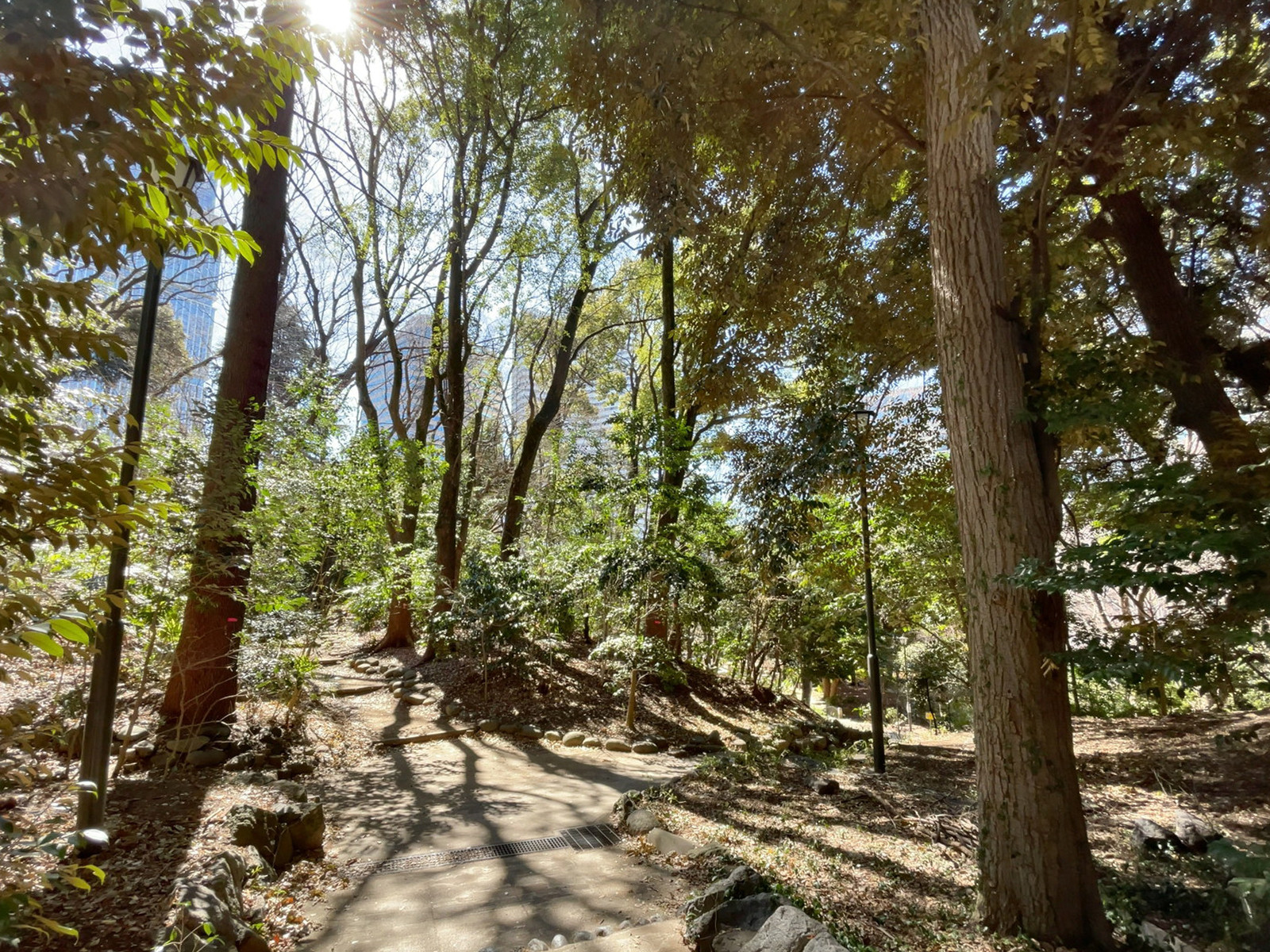 ビル裏の清水谷公園