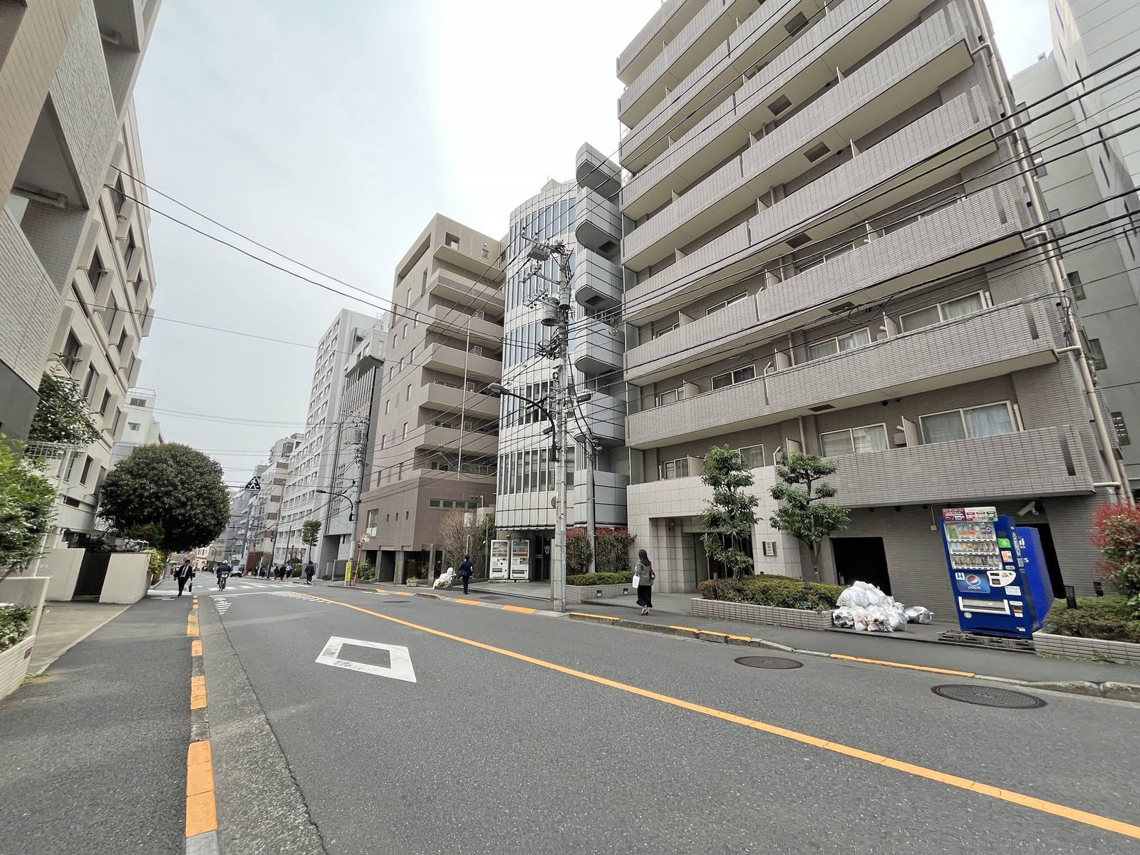 田中保全ビル前面の牛込中央通り
