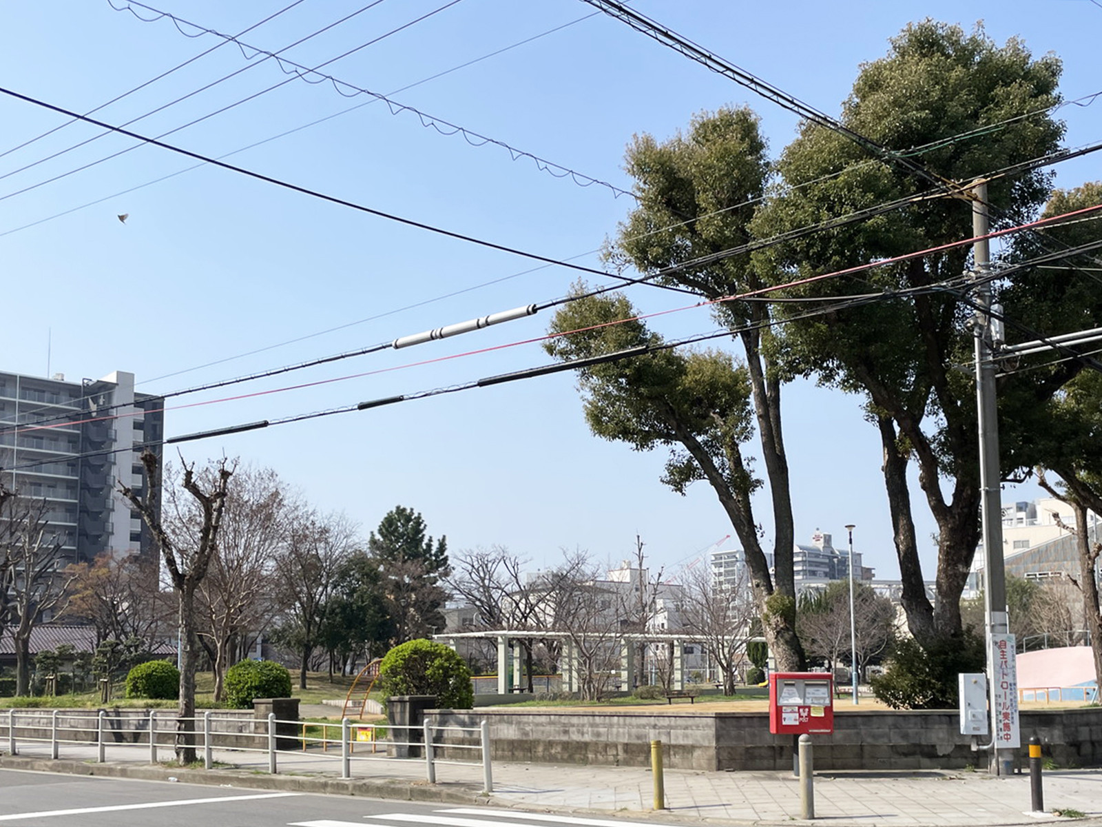 同じ通りにある日吉公園