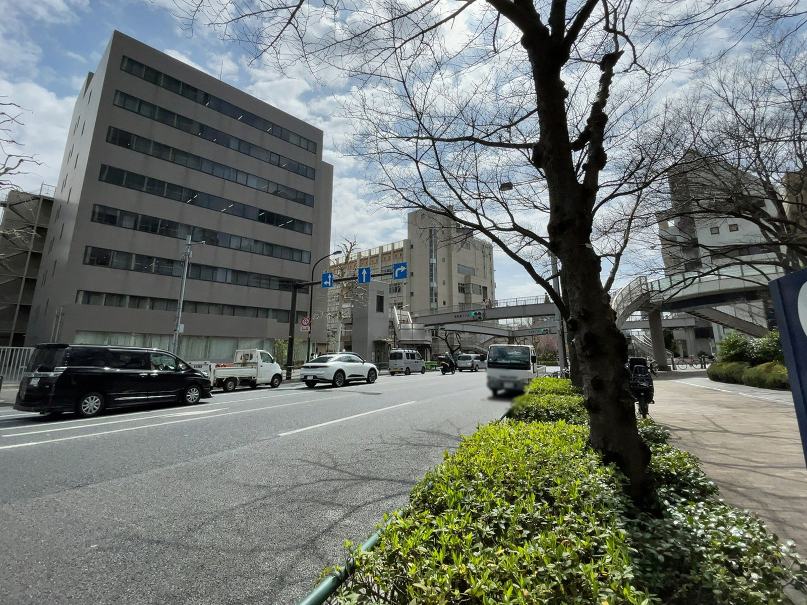愛宕グリーンヒルズMORIタワー前面の通り
