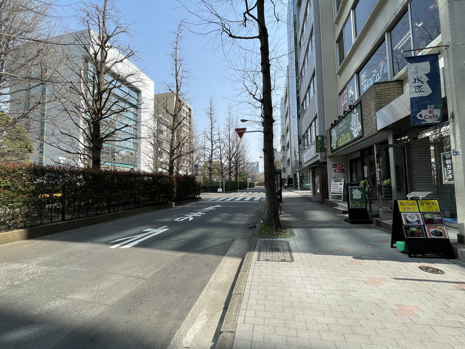 花の東京ビル前面の通り