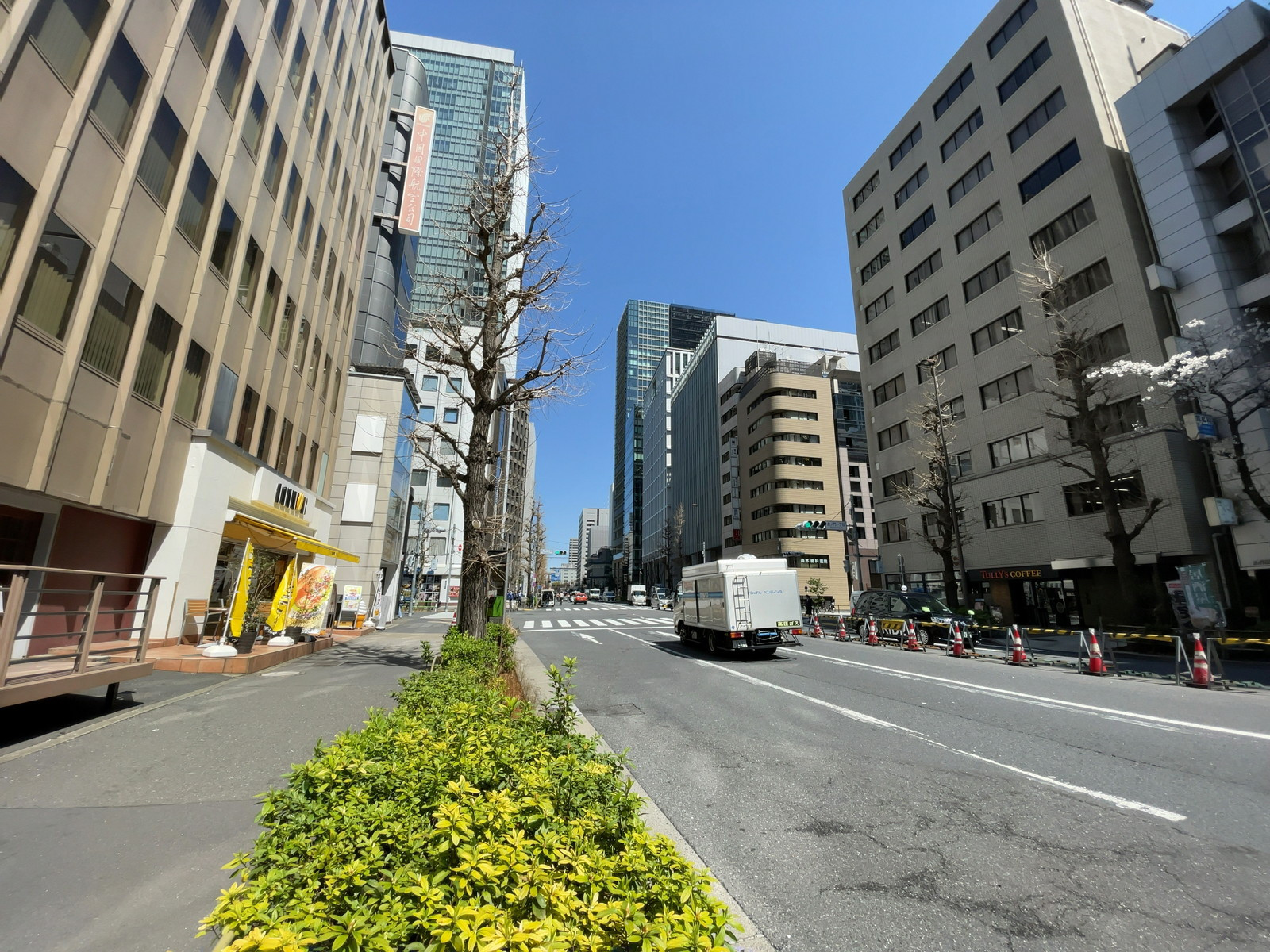近くの桜田通り