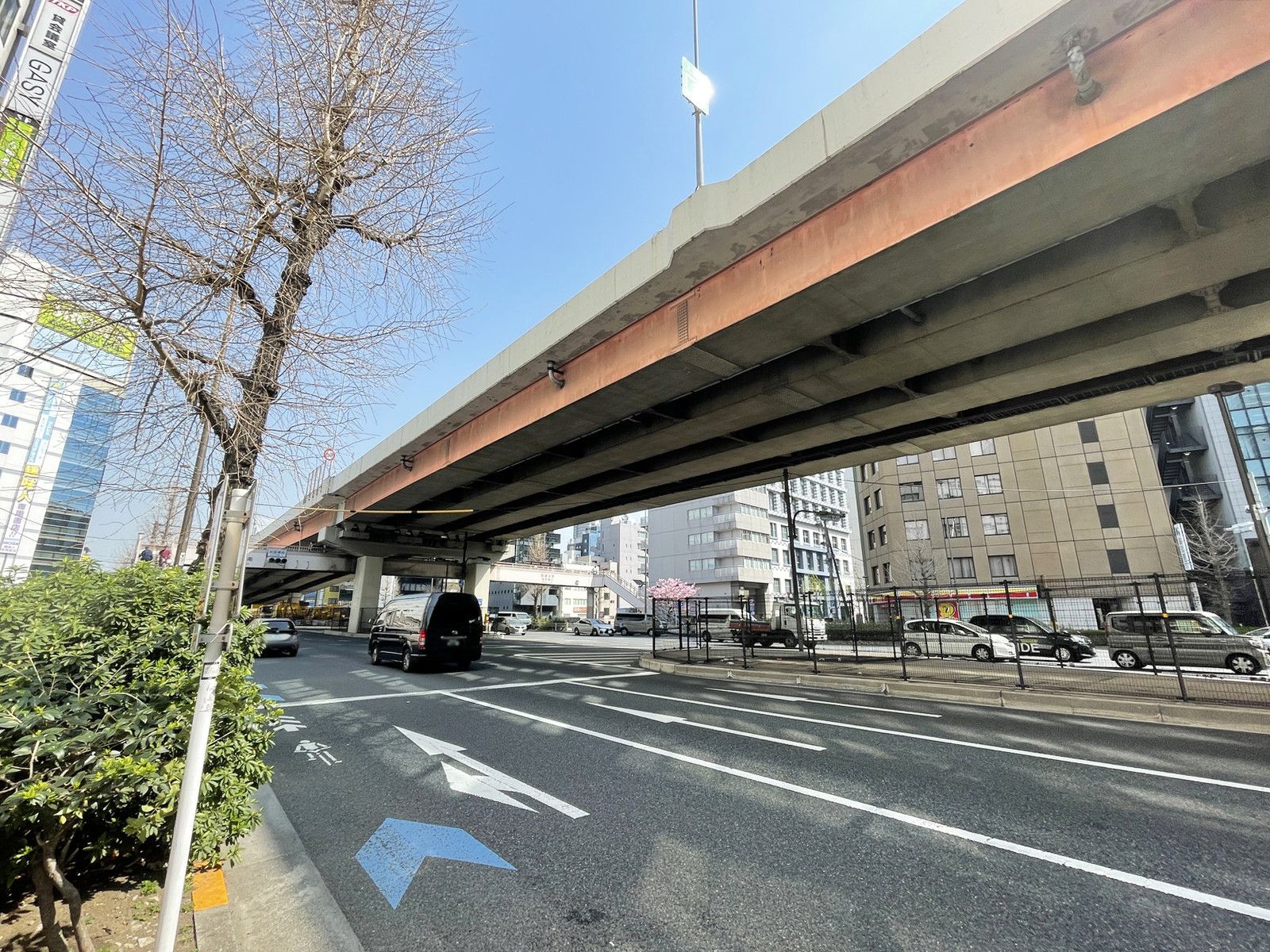 山上ビル前面の昭和通り