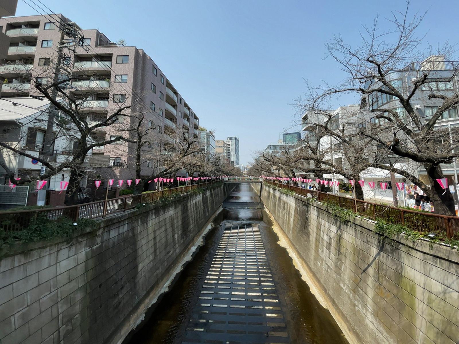 付近の目黒川