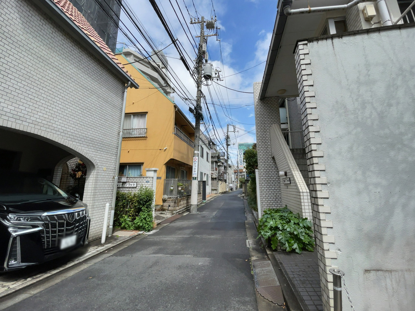 ツインツリービル前面の通り