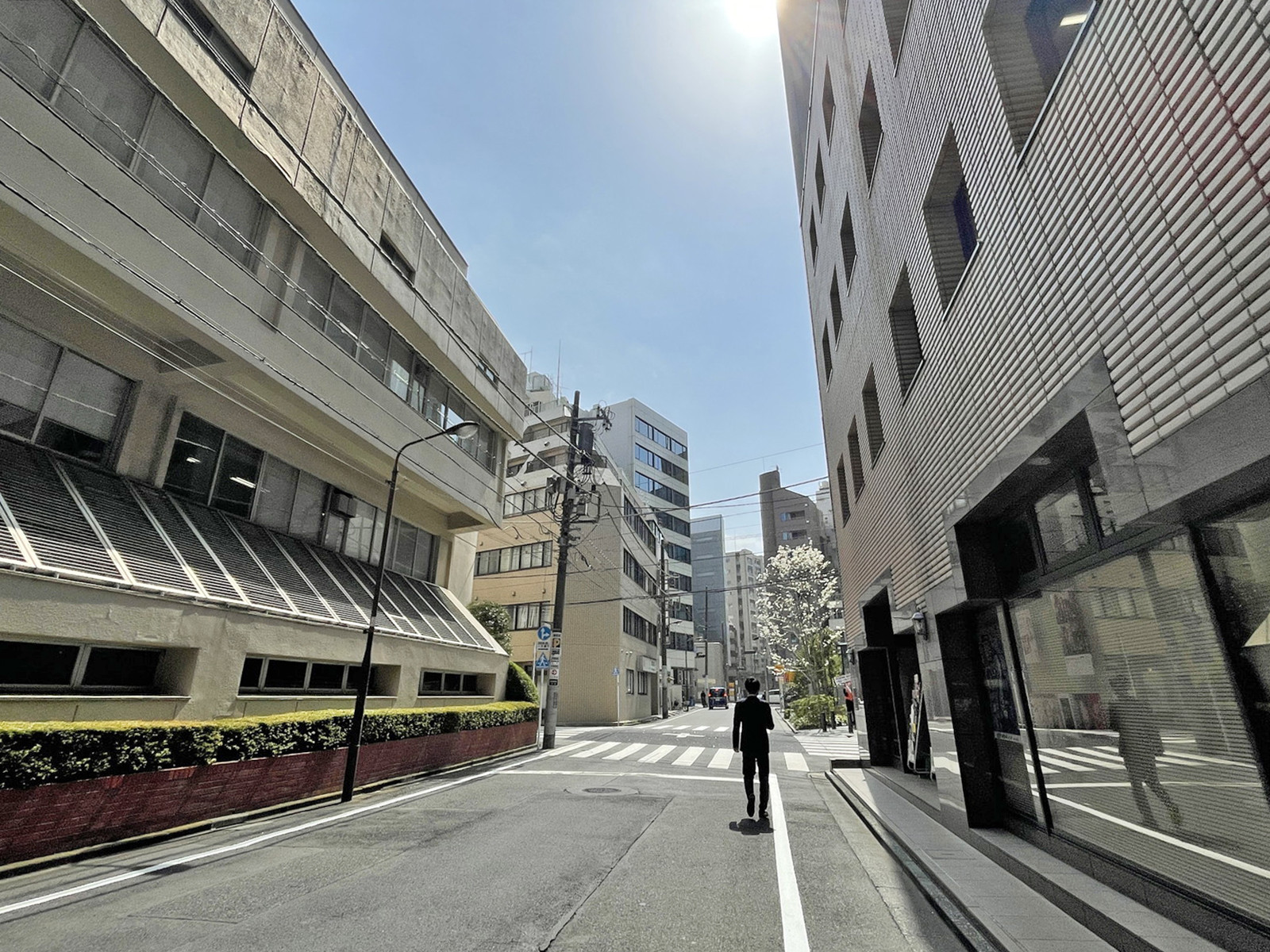 能楽書林ビル前面の通り