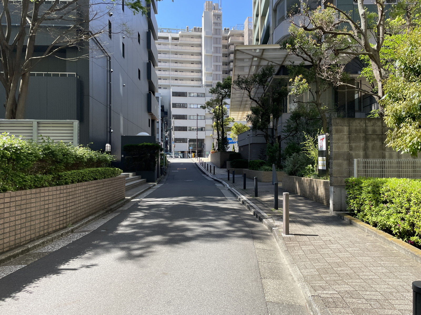 テクノスビル前面の通り