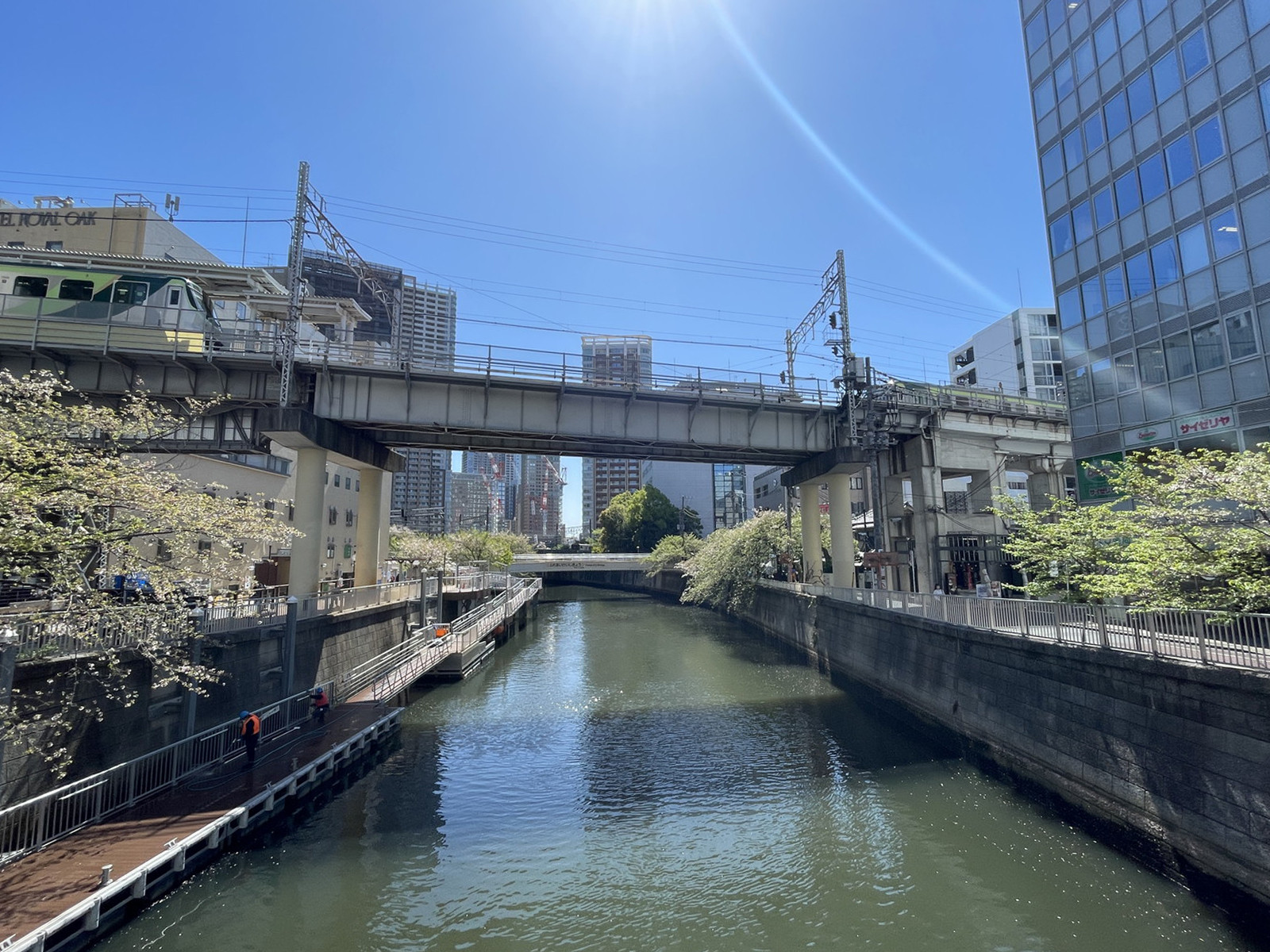 付近の目黒川