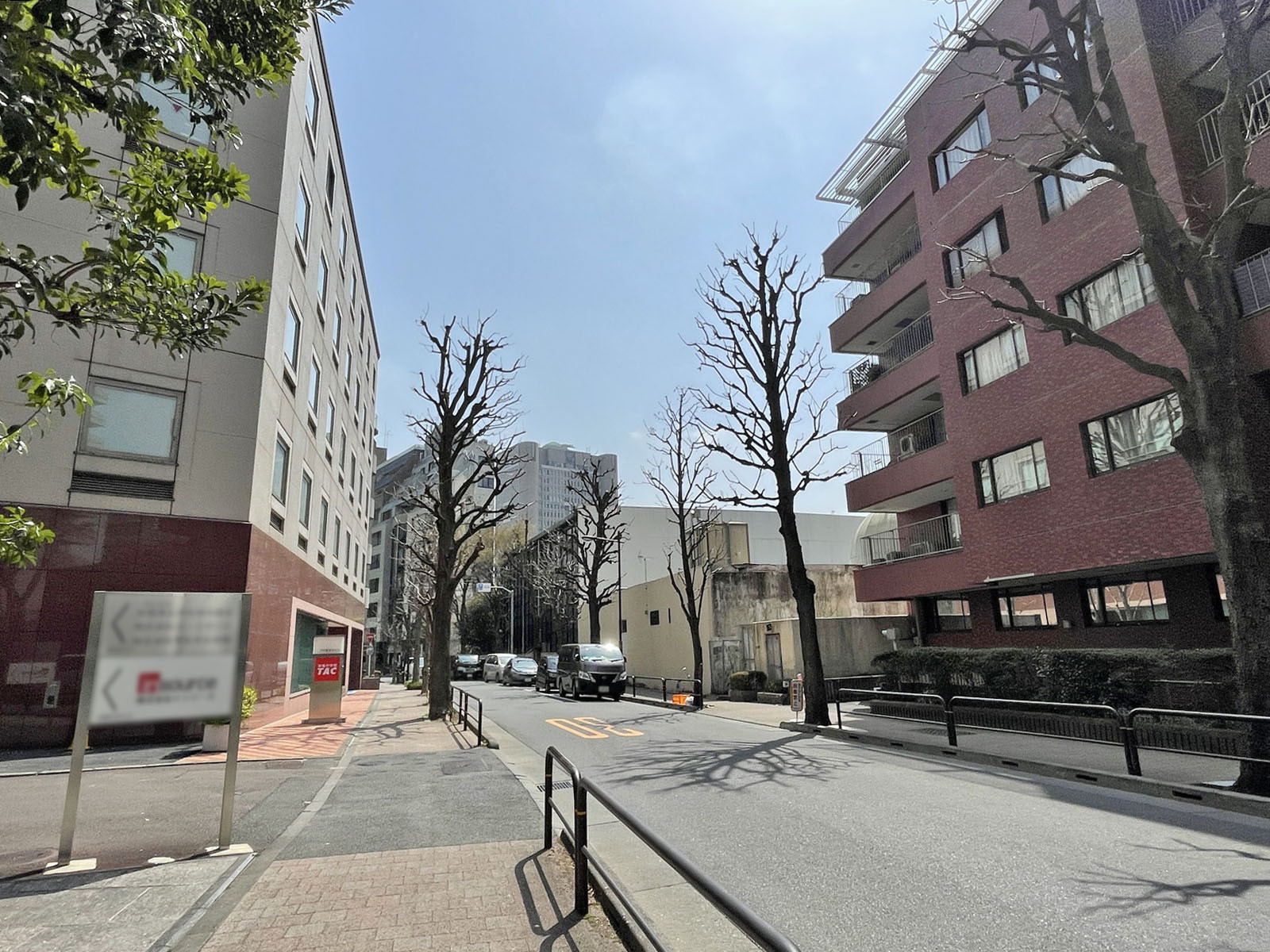 合人社御茶ノ水ビル前面のとちの木通り