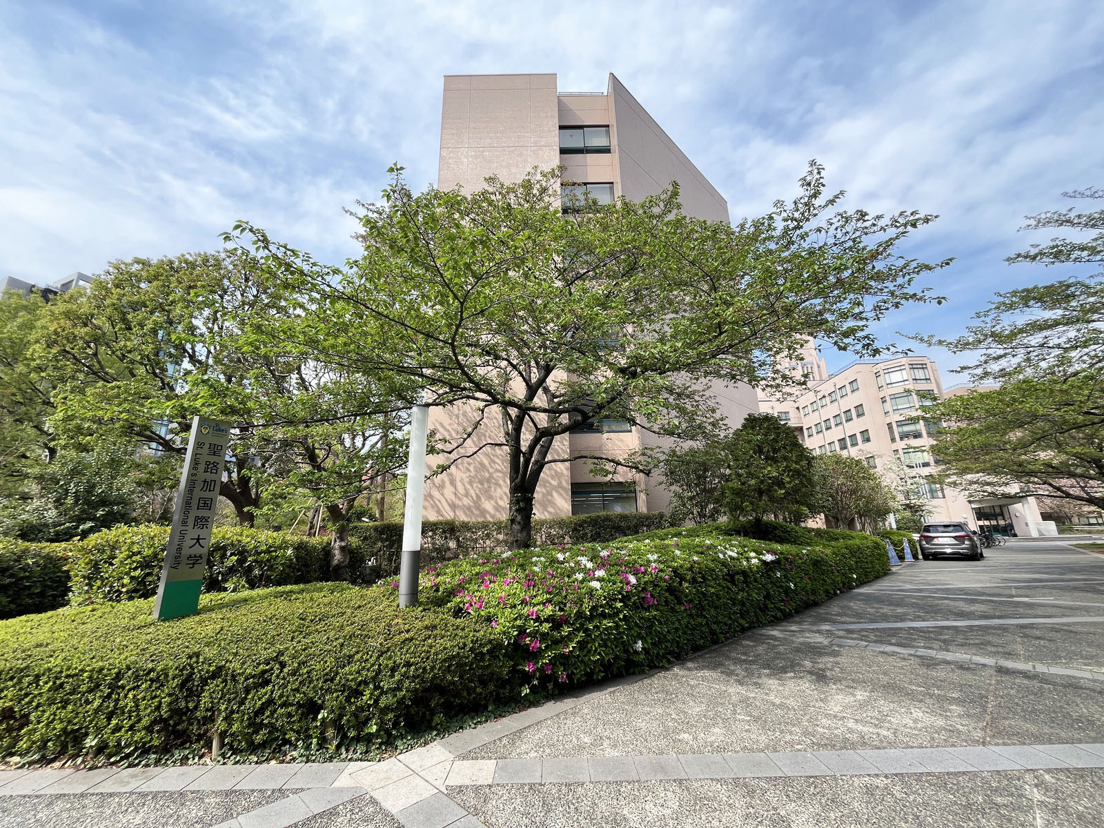 向かいの聖路加国際大学