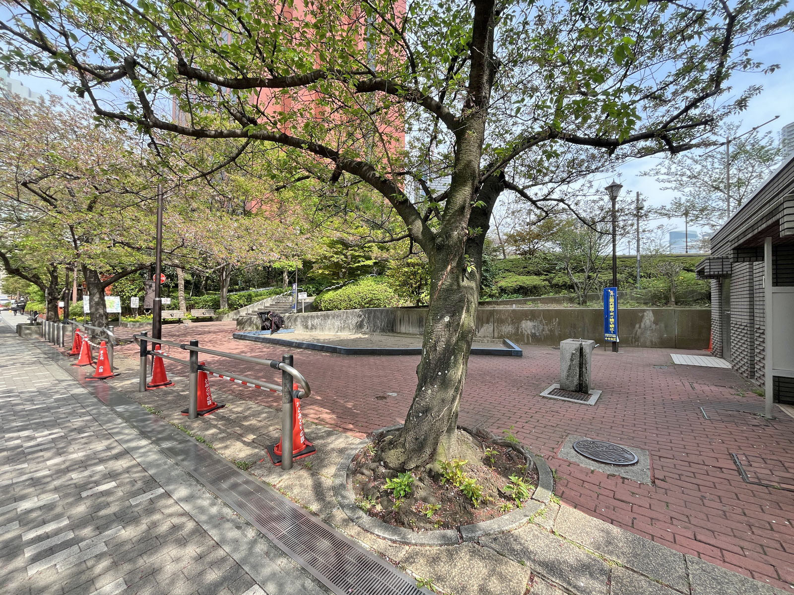 徒歩7分のはとば公園