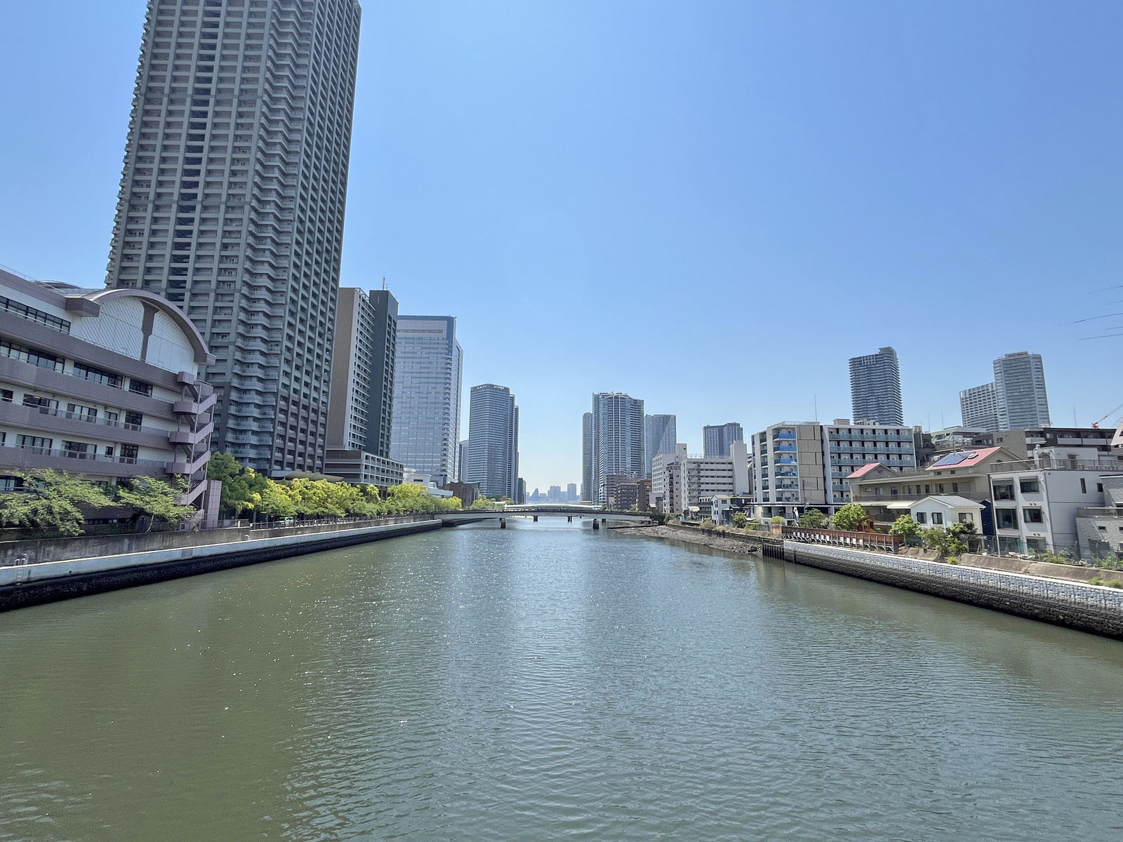 近くを流れる朝潮運河