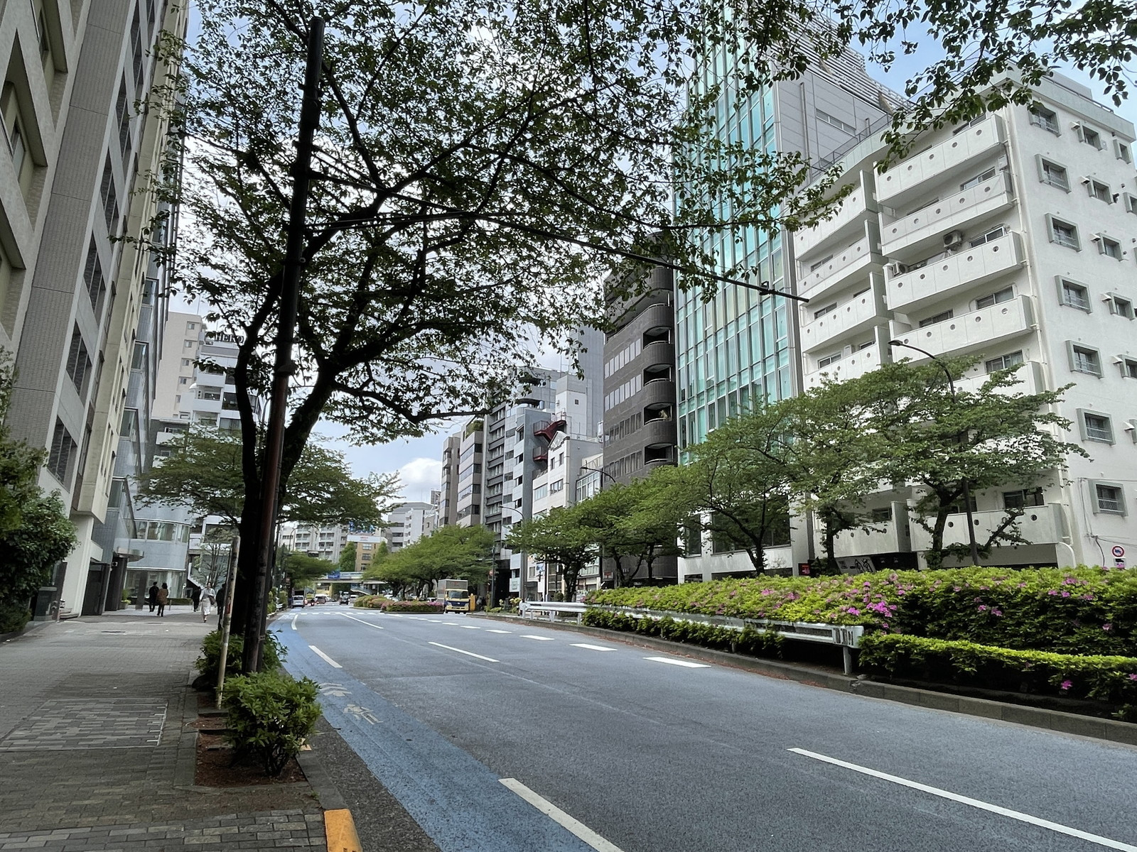 付近の明治通り