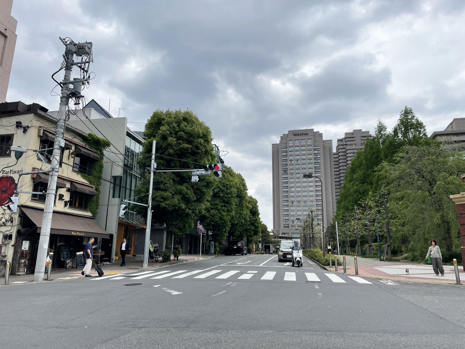 ATYビル前面のくすの木通り