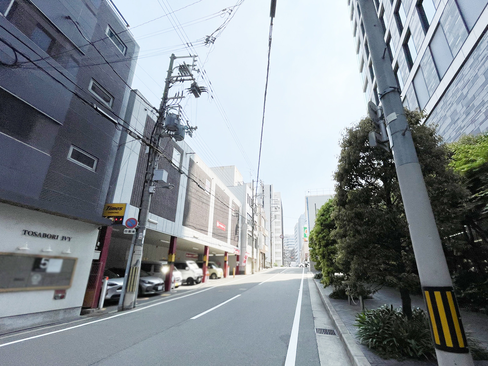 TOSABORI IVY前面の通り